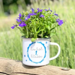 Tasse