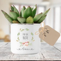 Tasse