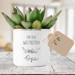 Tasse