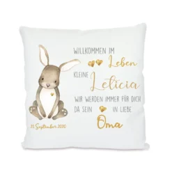 Willkommen im Leben | Persönliches Geschenk mit Widmung zur Geburt | Verschenke ein personalisiertes Babykissen mit Namen des Neugeborenen und dem Geburtsdatum | 4 Varianten zur Auswahl